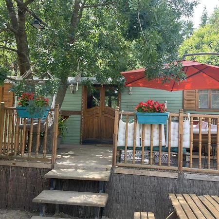 Le Soler Roulotte En Bois Sud France 게스트하우스 외부 사진