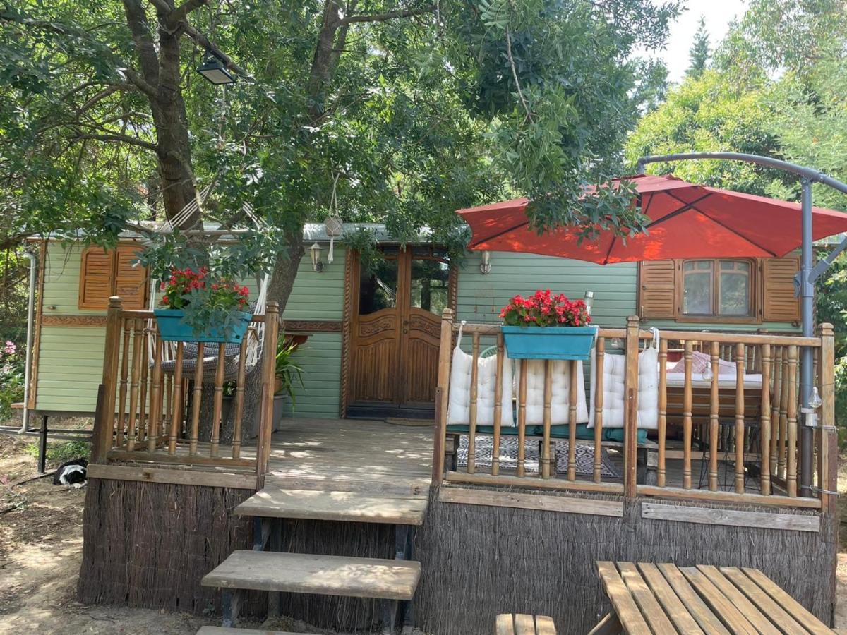 Le Soler Roulotte En Bois Sud France 게스트하우스 외부 사진