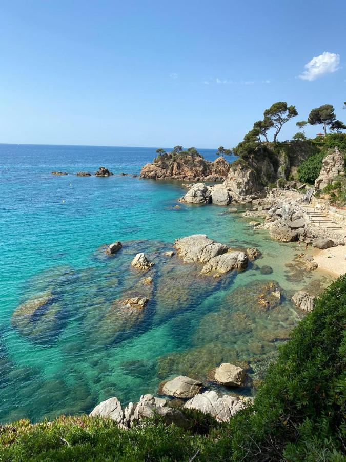 Le Soler Roulotte En Bois Sud France 게스트하우스 외부 사진