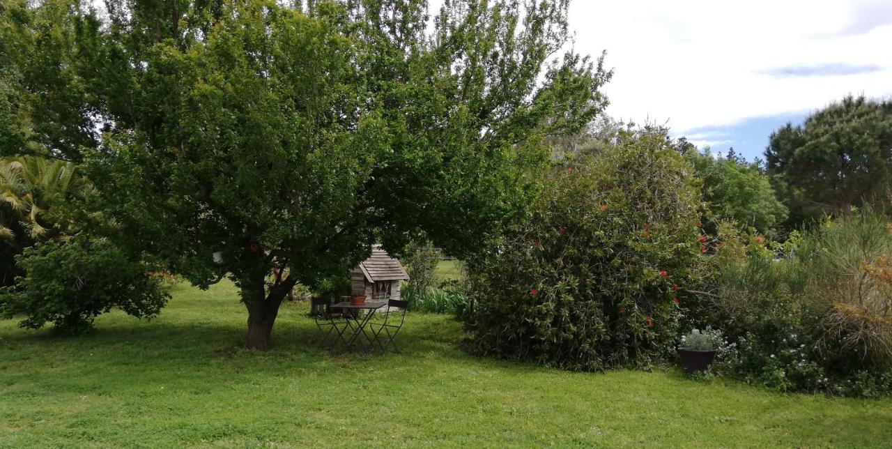Le Soler Roulotte En Bois Sud France 게스트하우스 외부 사진