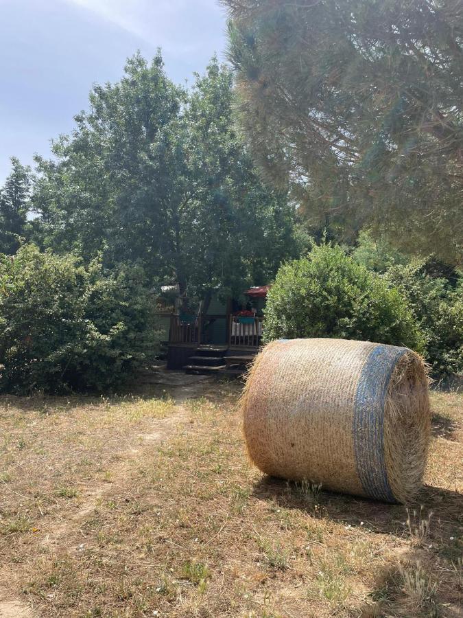 Le Soler Roulotte En Bois Sud France 게스트하우스 외부 사진
