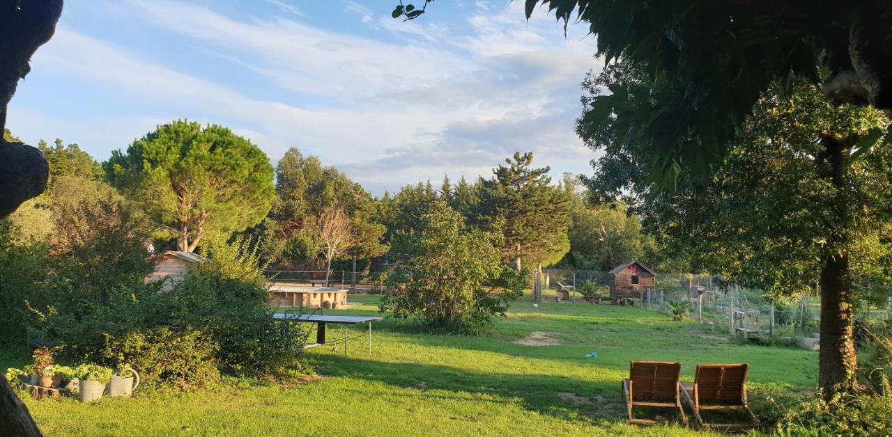 Le Soler Roulotte En Bois Sud France 게스트하우스 외부 사진